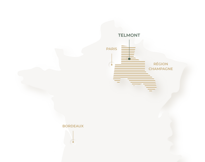 34 hectares of vineyards in the North East of France