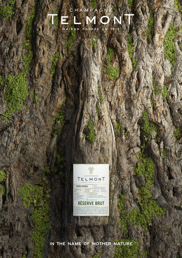 A lifestyle photo of a bolle of champagne Reserve Brut carved in a tree