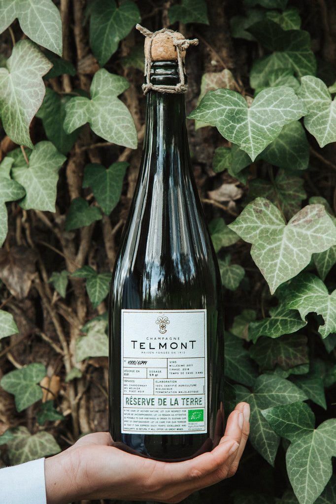 A lifestyle image of a hand keeping champagne Reserve de la Terre on the backround of leaves