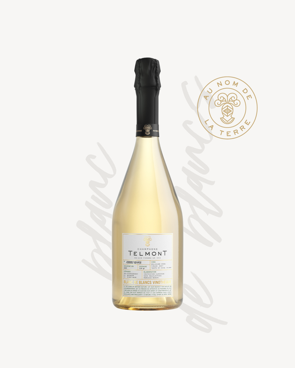 Blanc de Blancs Vinothèque 2006 - Blanc de blancs champagne collection 