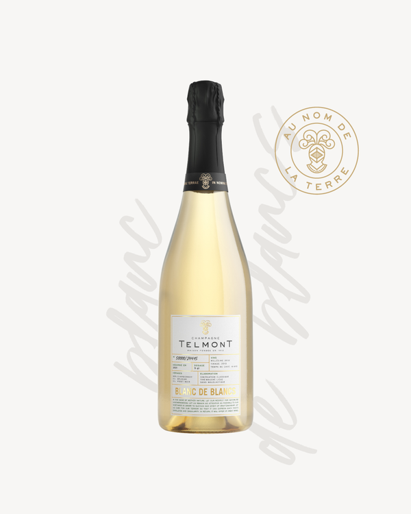 Blanc de Blancs 2012 - Blanc de blancs champagne collection 